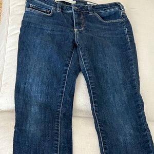 Anthropologie Pilcro High-Rise Denim Leggings SIZE 27